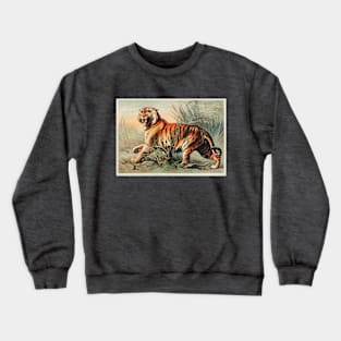 19th century Royal Bengal tiger chromolithograph Crewneck Sweatshirt